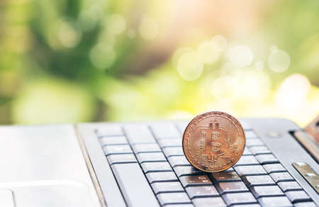 Digital money Bitcoin are placed on the notebook's keyboard.  photo Bitcoin,exchange virtual value, crypto digital money . Green bokeh background from nature forest.Investing With Digital Monの写真素材