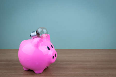Pork piggy bank with a light bulb on the head.Financial concepts and banksの写真素材