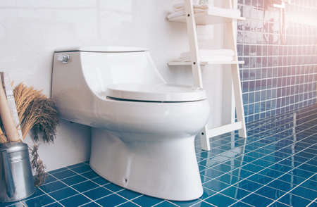 Modern spacious bathroom with Blue tiles with toilet and shelves. Side viewの写真素材