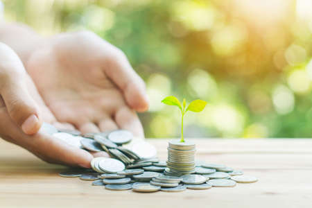 coins growth up to profit concept investment and finance for saving or investmentの写真素材