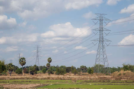 High voltage lines and power pylons in a flat and green agricultural landscape on a sunny day with cirrus clouds in the blue sky.の写真素材