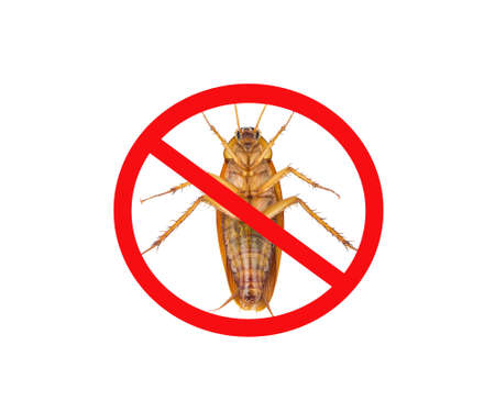 Images of cockroaches with red banned marks,  isolated on white background. Concept to protect the house from invading cockroaches and placing insect protection systems in the homeの写真素材
