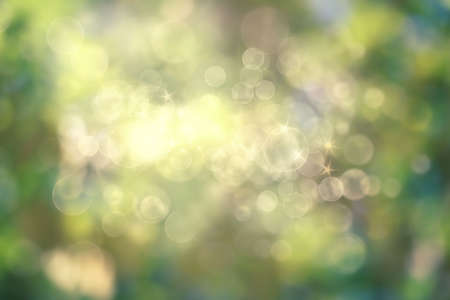Green bokeh on nature abstract blur background green bokeh from tree. Mock up for display.  montage of product,Banner or header for advertise on social media,Spring and Summer.の写真素材