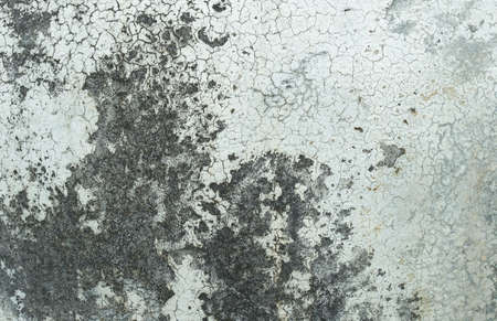 Decrepit White Dirty Plaster Wall With Cracked Structure Horizontal Empty Grunge Background. Old Gray Grey Mortar Wall With Rough Shabby Stucco Layer Isolated Texture. Blank Peeled Messy Surfaceの写真素材