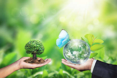 World environment day concept with tree planting and green earth on volunteering hands.