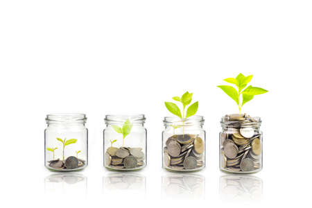 Money growing plant step with deposit coin,  seed in clear bottle on white background. investment ,bank conceptの写真素材