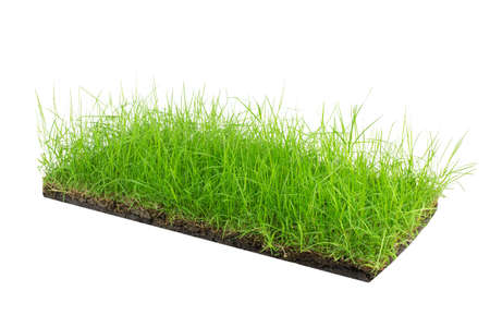 round soil ground cross section with earth land and green grass, realistic  circle cutaway terrain floor with rock isolatedの写真素材