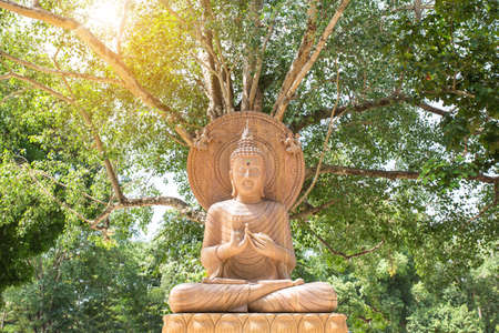 Magha Asanha Visakha Puja Day , stone buddha statue under the big tree.の写真素材