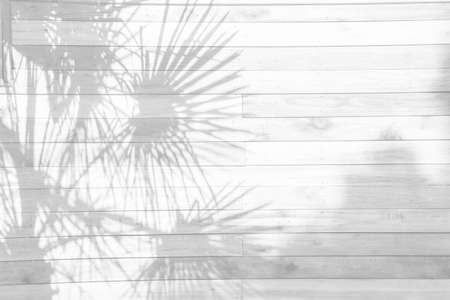 Tropical palm leaves shadows on White wood plank texture for background.