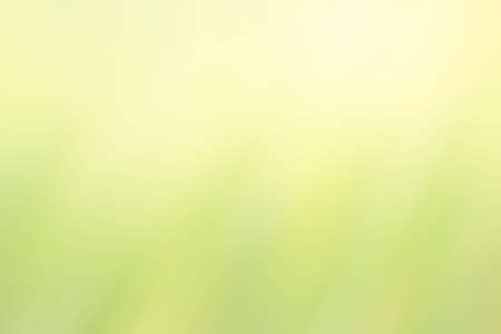 Closeup nature view of blurred greenery background in garden with copy space using as background natural green plants landscape, ecology, fresh wallpaper concept.の写真素材