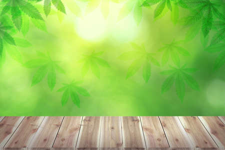 Brown wooden table board empty on Marijuana leaves, cannabis , the pastel green textured background. Medicinal plant in contour style for summer design.の写真素材