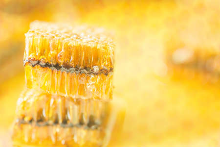 Background texture and pattern of a section of wax honeycomb from a bee hive filled with golden honey in a full frame viewの写真素材
