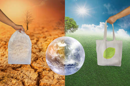 natural cotton tote bag ,cloth bag, reduce amount plastic bags while shopping,creative with illustration progress. Concept reuse to reduce global warming.の写真素材