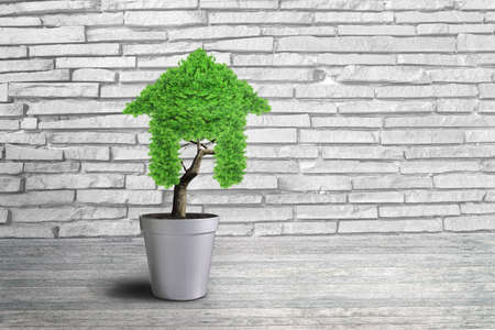 Small plant in pot shaped like a house - Concepts of financial investment and real estate investmentの写真素材