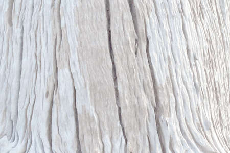 White soft wood surface as background. Old wooden texture background that has natural cracksの写真素材