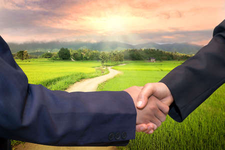 Business concept.Business handshake land purchase. Beautiful green young rice field, local soil road, morning golden sun light. Agriculture land plot for sales.の写真素材