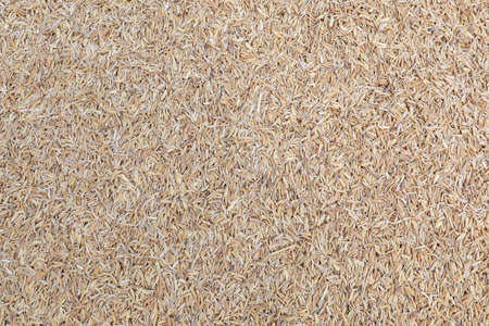 The image of rice husk background. It is a hard husk of rice grains obtained from milling rice. Is the surplus from rice production.の写真素材