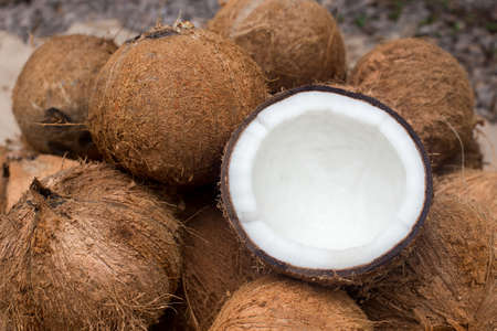 Pile of coconuts in the food market. Coconut cream and oil.の写真素材
