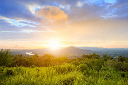 Group of butterflies puddling on the ground and flying in nature, Thailand Butterflies swarm eats minerals in Ban Krang Camp, Kaeng Krachan National Park at Thailandの写真素材