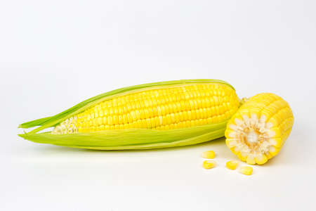The peeled ear of corn, a piece of and seeds on a white, isolated as package design elementの写真素材