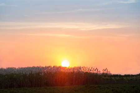 Beautiful sky painted by the sun leaving bright golden shades.Dense clouds in twilight sky in winter evening.Image of cloud sky on evening time.Evening sky scene with golden light from the setting sunの写真素材