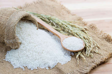 Rice used for sushi. Short Grain Sushi Koshihikari Rice. High resolution.  rice grains healthy food on sack backgroundの写真素材