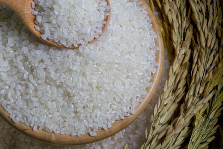 Rice used for sushi. Short Grain Sushi Koshihikari Rice. High resolution.  rice grains healthy food on sack backgroundの写真素材