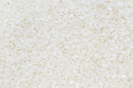 Rice used for sushi. Short Grain Sushi Koshihikari Rice. High resolution.  rice grains healthy food on white backgroundの写真素材