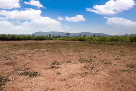Empty dry cracked swamp reclamation soil, land plot for housing construction project with car tire print in rural area and beautiful blue sky with fresh air Land for sales landscape conceptの写真素材