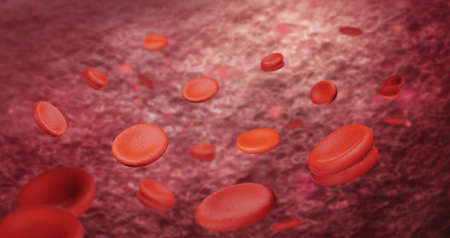 3d rendering red blood cells in vein. Macro streaming red blood cells flowing through artery.の写真素材