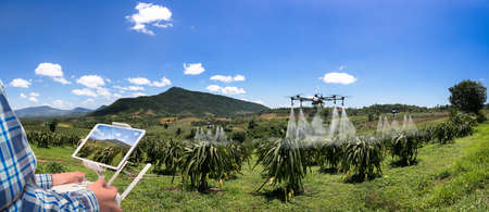 Panorama agriculture drone fly to sprayed fertilizer on dragon fruit. smart farmer use drone for various fields like research analysis, terrain scanning technology, smart technology concept.の写真素材