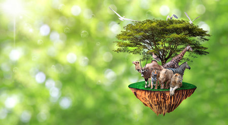 nature concept wildlife conservation tiger deer global warming food ecology cubes human hands protect wildlife and wildlife tiger deer trees in hands solar green backgroundの写真素材