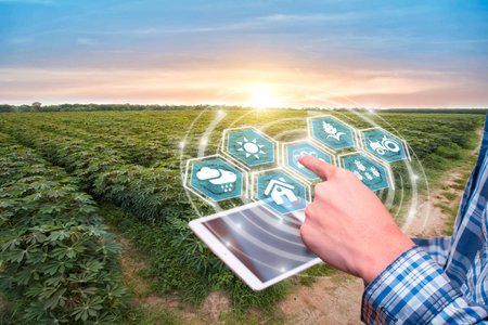 Innovation technology for smart farm system, Agriculture management, Hand holding smartphone with smart technology concept. asian male farmer working in Sugarcane farm To collect data to study.の写真素材