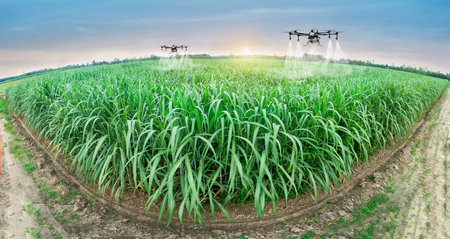 Creative background, plastic bottle floating in the ocean, a bottle in the water. The concept of environmental pollution, non-decomposable plastic, increased debris in the world's oceans.の写真素材