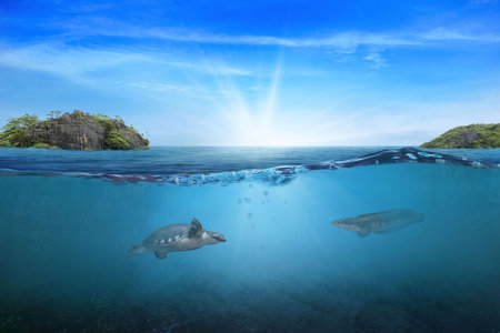 invest written on asphalt road in sunset concept of goals and challenges or career path success business opportunity and change.の写真素材