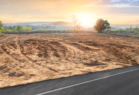 Empty dry cracked swamp reclamation soil, land plot for housing construction project with car tire print in rural area and beautiful blue sky with fresh air Land for sales landscape conceptの写真素材