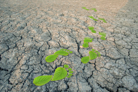 green leaf growing footprints, co2 symbol. Reduce CO2 emission concept.Clean and friendly environment without carbon dioxide emissions.の写真素材