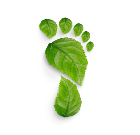 green leaf growing footprints, co2 symbol isolated on White Background. Reduce CO2 emission concept.Clean and friendly environment without carbon dioxide emissions.の写真素材