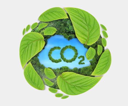 green leaf growing footprints, co2 symbol. Reduce CO2 emission concept.Clean and friendly environment without carbon dioxide emissions.の写真素材