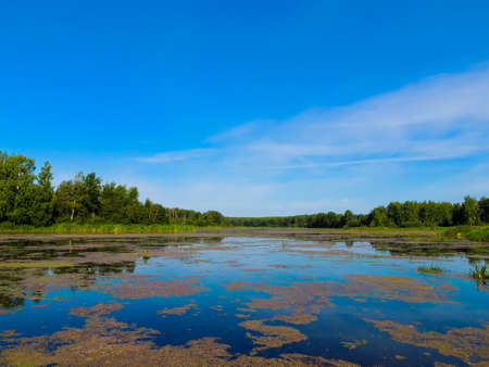 Beautiful landscape in solar clear day during fishingの写真素材