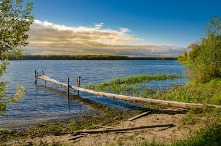 Golden autumn in the month of October in a beautiful forestの写真素材