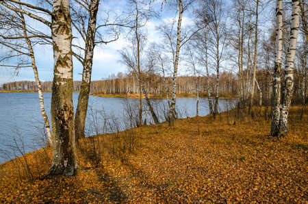 Landscape on a river in Golden autumnの写真素材