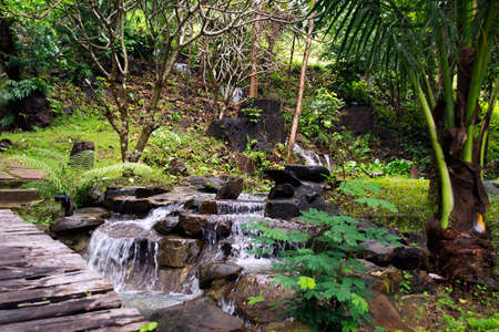 Waterfall in the jungles