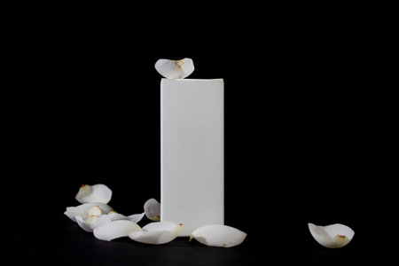 white box of natural cosmetics, on a black background with camellia petals, for mockups