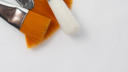 Different kinds of brushes to paint in class, natural bristle brush to paint in class for back to schoolの写真素材