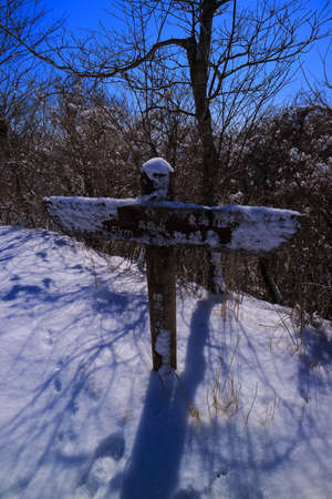 Mountain Summit of Mt.Takazasu Yamanaka Lake snowyの写真素材