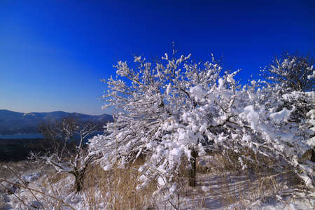 Snow scenery from Ohira mountain in Yamanakakoの写真素材