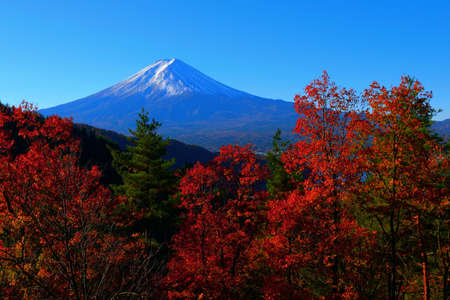 Autumn leaves and Mount Fuji from Kawaguchiko hill