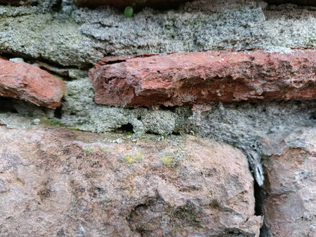 Old brick wall with moss and lichenbe used as background