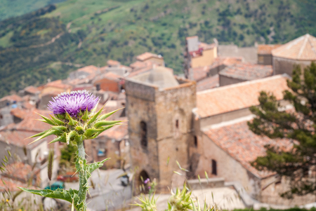 The Mother church of St. George- Chiesa di S. Giorgio Martire - in San Mauro Castelverde, Sicily, Italyの写真素材